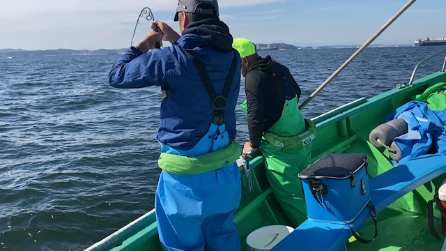 10/24 釣果情報の記事動画