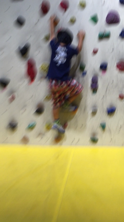 メガ恐竜展とボルダリングの記事動画