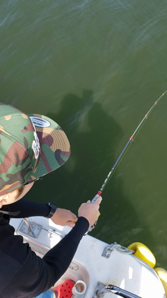 釣果の記事動画