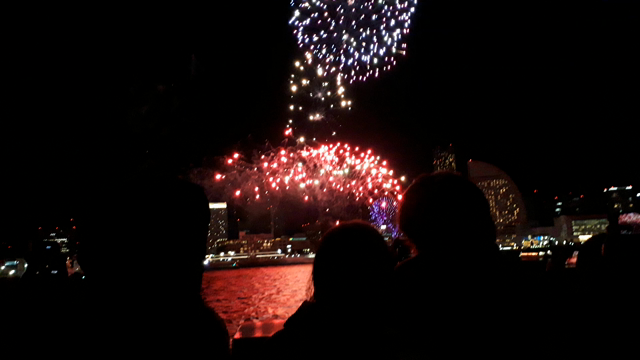 花火の記事動画