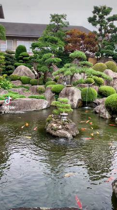 曇り空のある日の記事動画