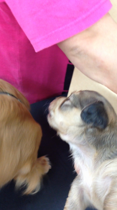 すくすく成長してます。の記事動画