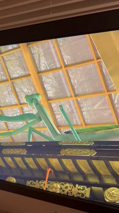 祇園祭に思うの記事動画