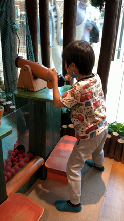 春休み〜北京生活〜の記事動画