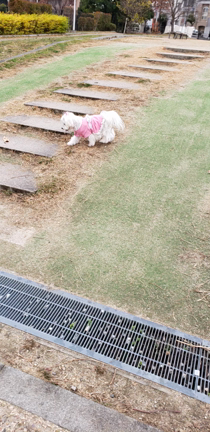 魔法の笑顔　の記事動画