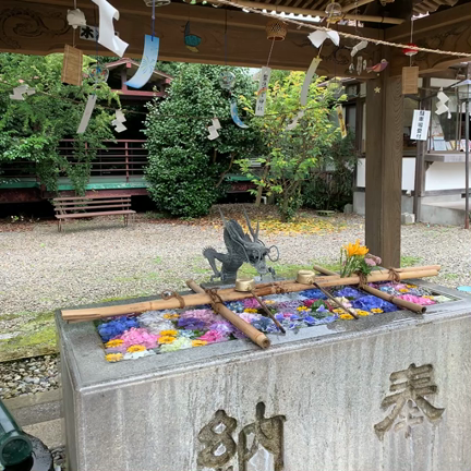 神鳩来福！報徳二宮神社の素敵な御朱印を頂くには鳩の襲撃に耐える必要有り！の記事動画