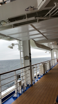ダイヤモンドプリンセス号〜乗船して初めて分かった事(^^)の記事動画