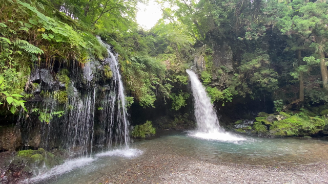 450名の医師・議員による記者会見の記事動画