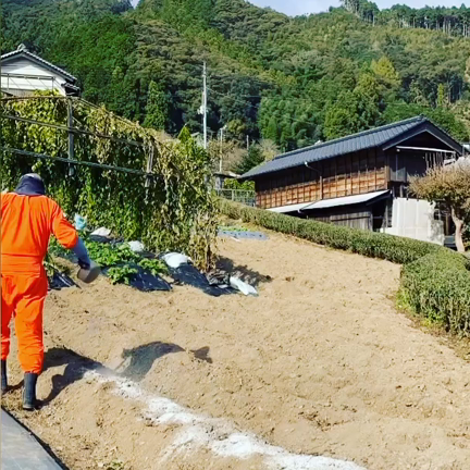 斉藤一人さんの心に響く言葉より…の記事動画
