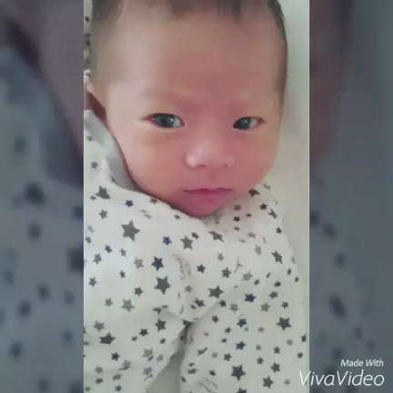 ＊動画をあっぷっぷの記事動画