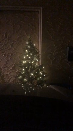 本日からクリスマスイベントですの記事動画