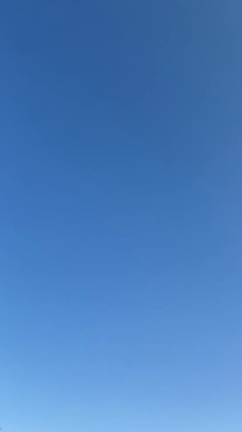 ◤母校・秦野市立北小学校 学校林100周年記念植樹へ♪◢の記事動画