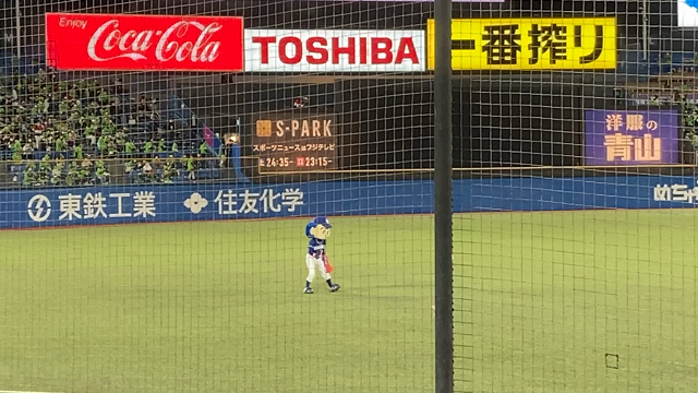 野球観戦♪の記事動画