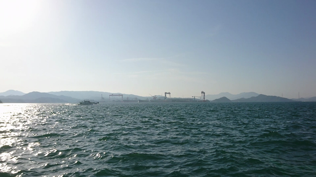 単独釣行の記事動画