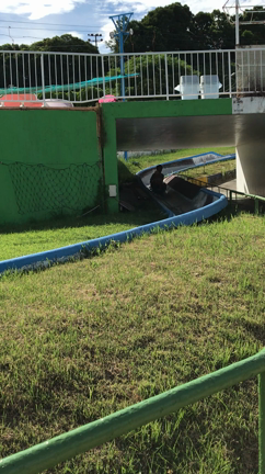 グリーンランド完結編♪の記事動画