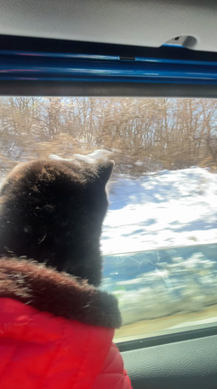 軽井沢旅行してきました＾＾＜１日目＞の記事動画