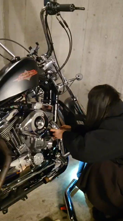 タンデムステップつけたよ　の記事動画