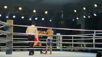 日越プロボクシング交流戦2018 Part2の記事動画