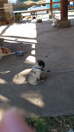 完全休暇の記事動画