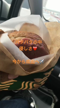 ハワイの記事動画