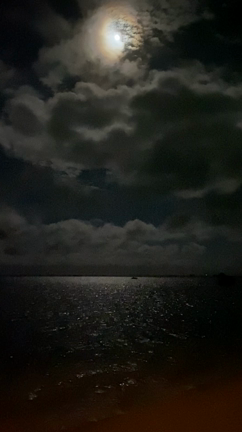 欠けているから美しいの記事動画