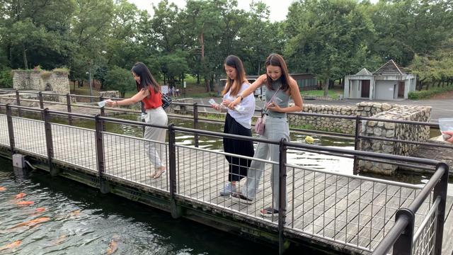 若様、ななこさん、しおみんとぶどう狩り&ゴルフの記事動画