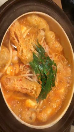 こんばんわんの記事動画