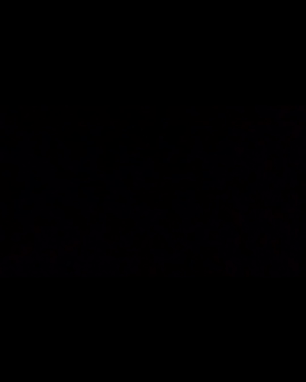 10th Anniversary DVDの記事動画