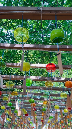 風鈴の記事動画