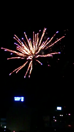 いいねぇ川の記事動画