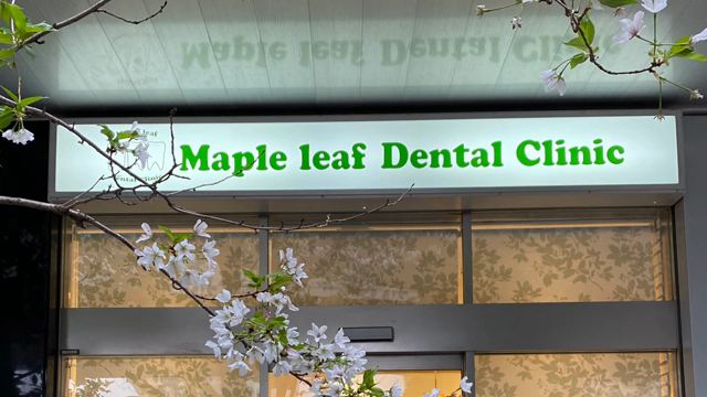 お花見散歩〜石神井川編〜の記事動画