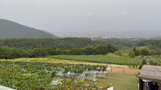 登美の丘ワイナリーの記事動画