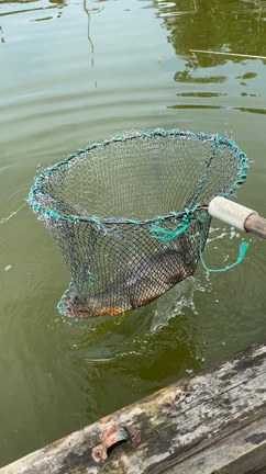 爆釣❗️の記事動画