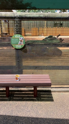 娘とデート in Houston Zooの記事動画