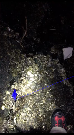 ☆久々の、読者の方と釣行レポ☆の記事動画