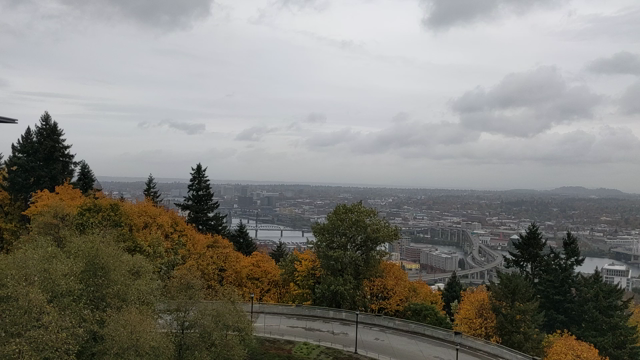 ハロウィン衣装☆1歳半検診☆言語発達☆紅葉ピーク(動画あり)の記事動画