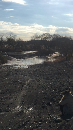 年末。の記事動画