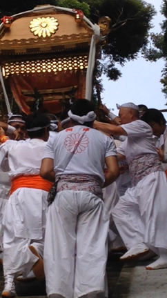 館山 一宮巡り 洲崎神社〜安房神社の記事動画