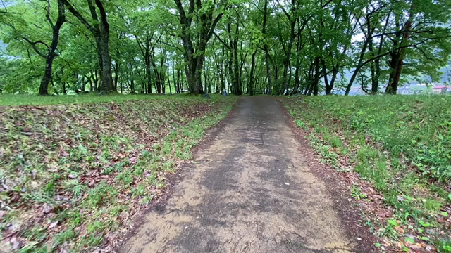 林間サイト1の記事動画