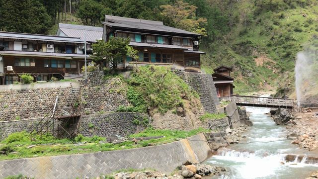 おさるさん♪の記事動画