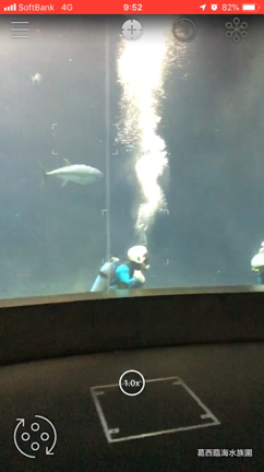 かざすAI図鑑 LINNÉ LENS  葛西臨海水族園の記事動画