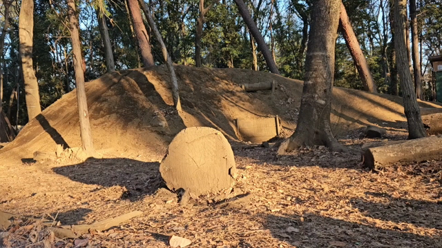 お久しぶりですの記事動画