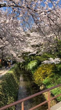 当たり前にありがとうの記事動画