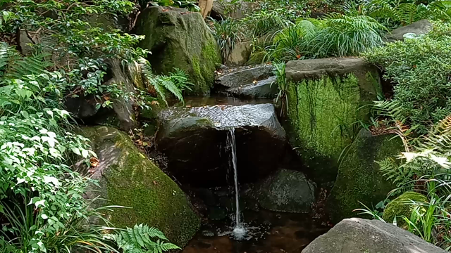 やるべきことをやったならー丈山苑に行ってきましたの記事動画