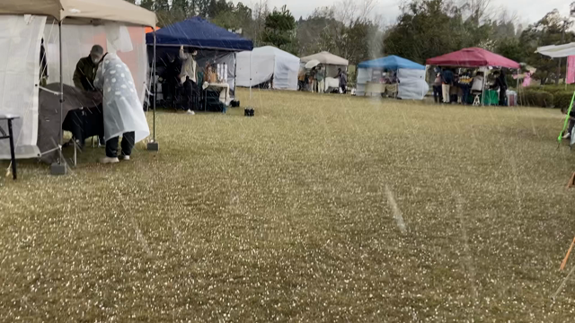 霰(あられ)＆強風の越前陶芸村しだれ桜まつり☆終了ですの記事動画