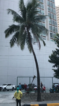 フィリピンは南国なんですの記事動画