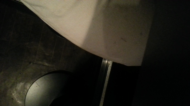 海の声の記事動画