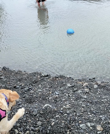 24Hじゃれてたいよねの記事動画