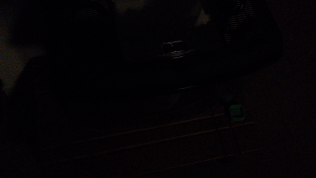 リンリンリン♪の記事動画