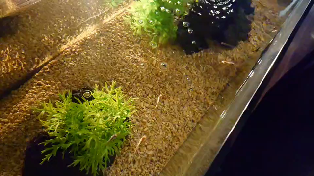 人間万事塞翁が馬の記事動画